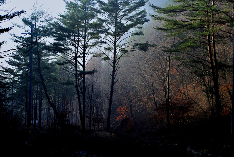 DSC_3402 - Co블.jpg