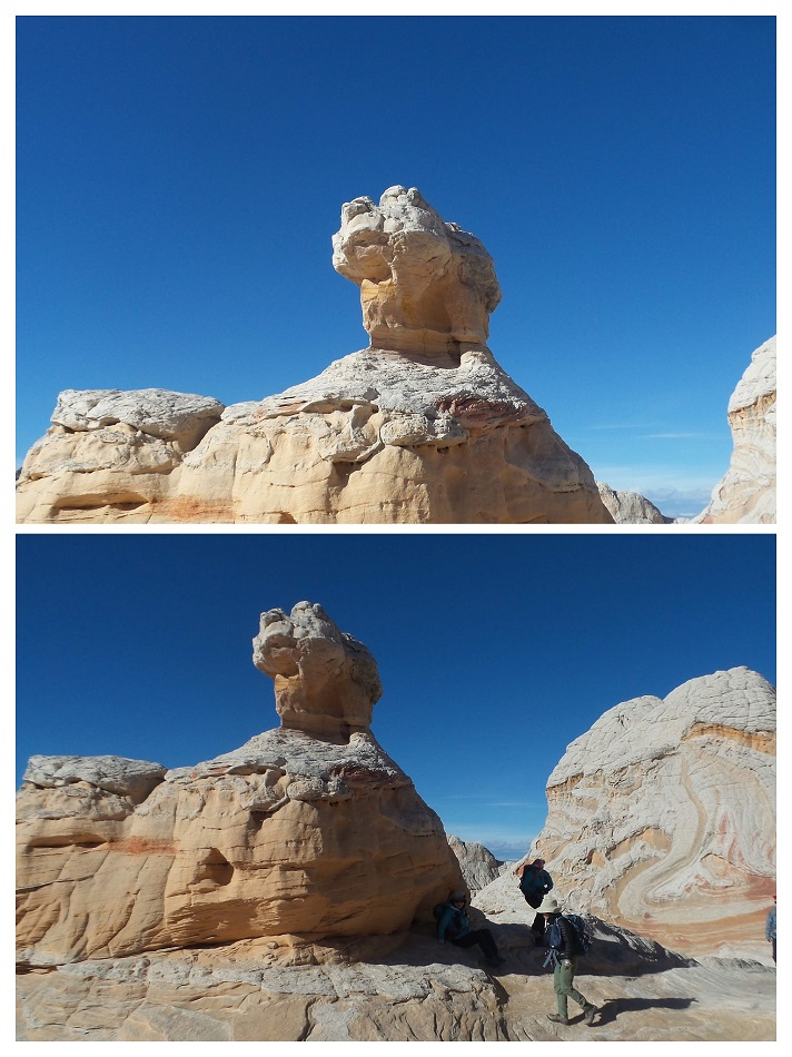 20181124_122358-COLLAGE.jpg