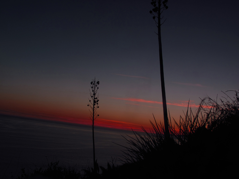 IMG_6158 - Copy3 축.jpg