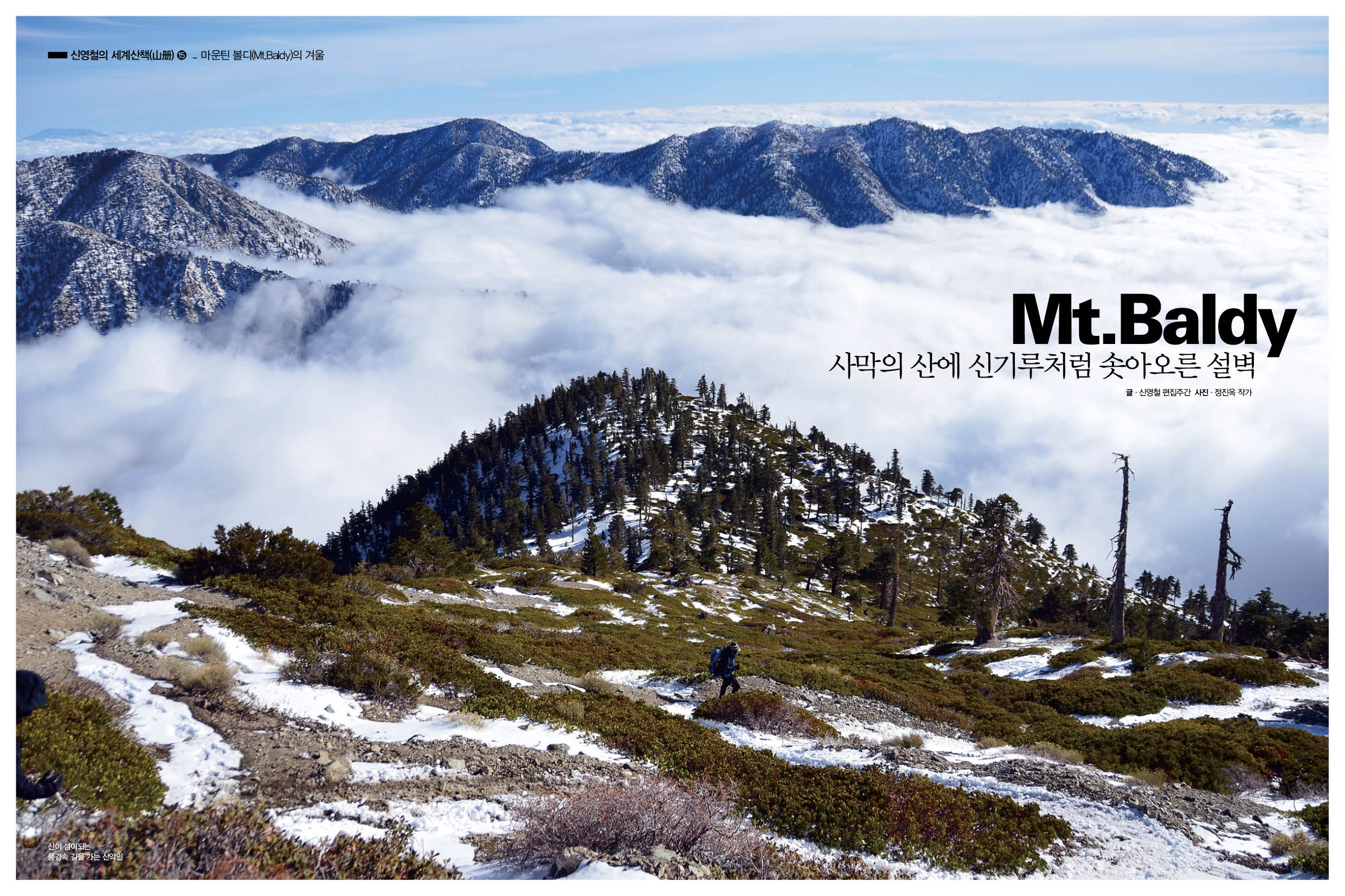 세계산책-볼디1.jpg