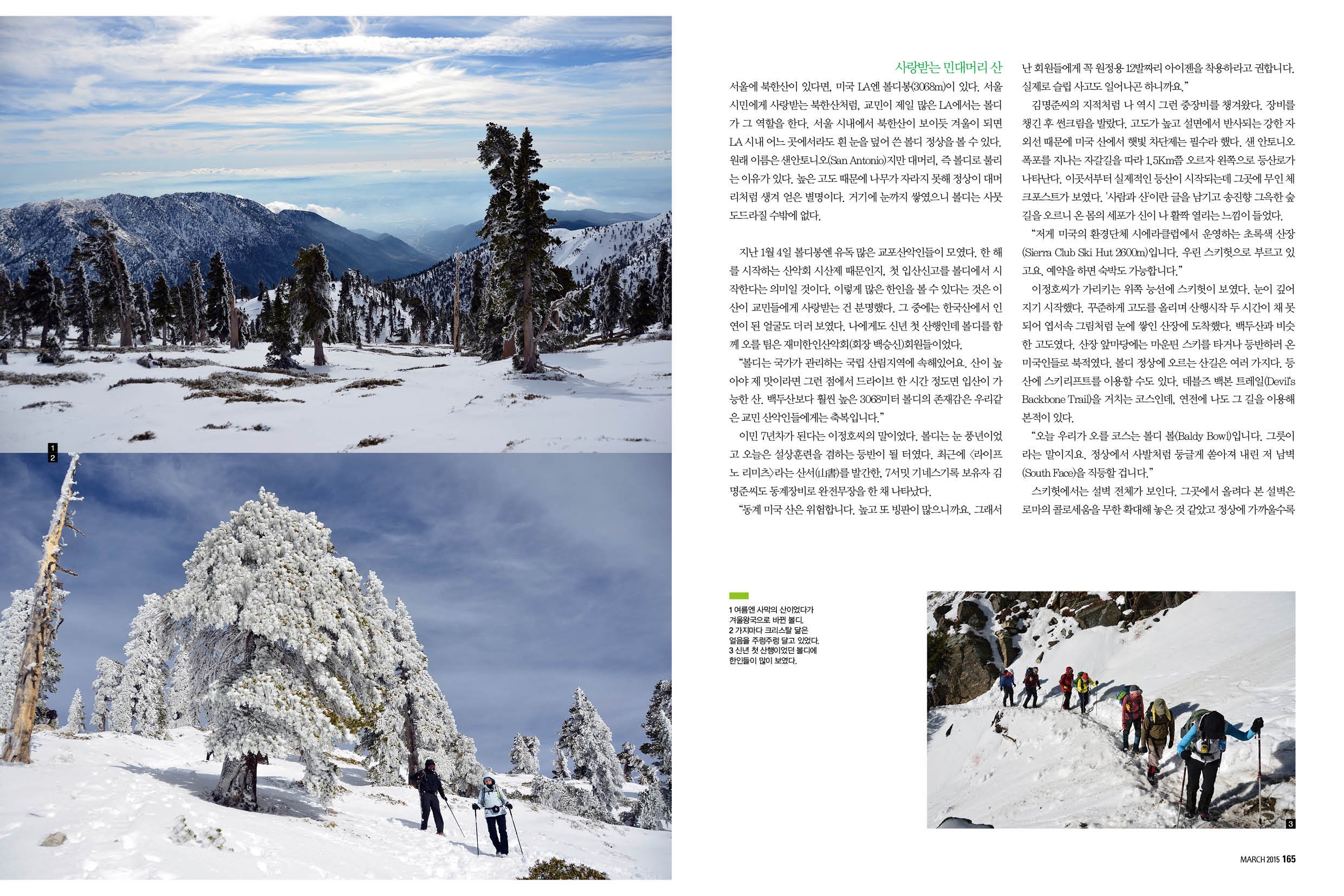 세계산책-볼디2.jpg