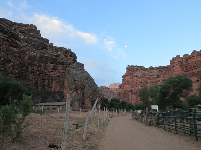 IMG_1964.jpg