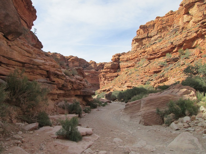 trail.jpg