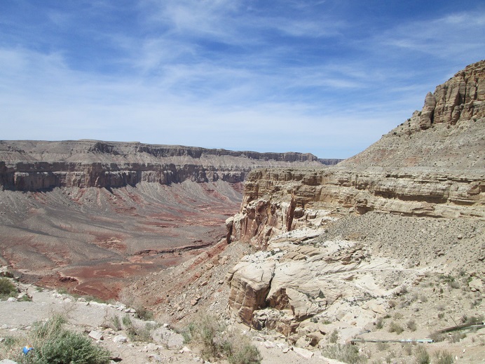 IMG_1794.jpg