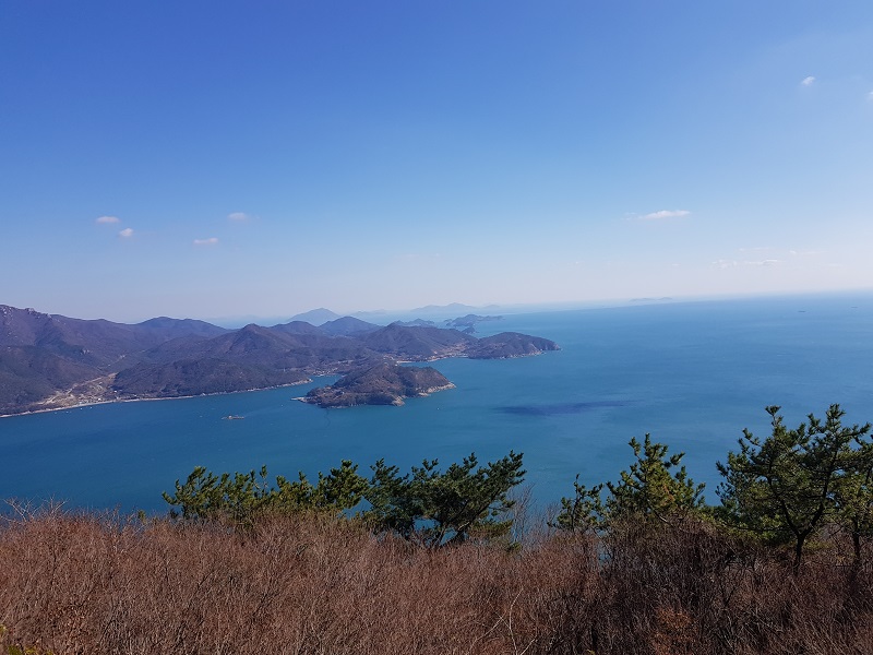 20201129_130516.jpg