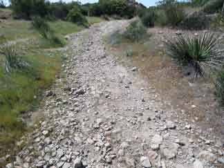 25-Mishe-Mokwa.jpg