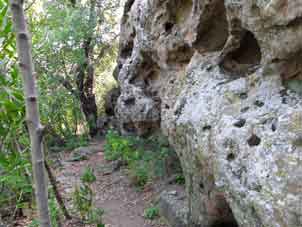 19-Rock.jpg