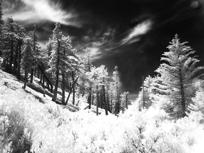 IMG_3689co2 축.jpg