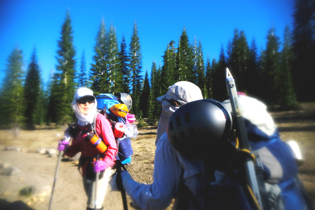 d4... (3) - Copy.JPG