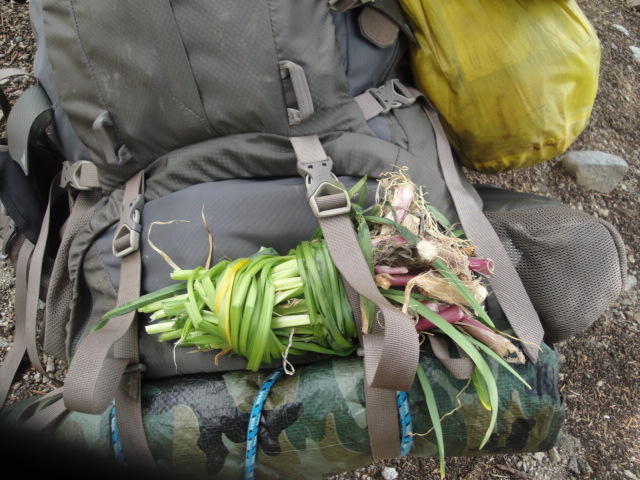 JMT South 199.jpg