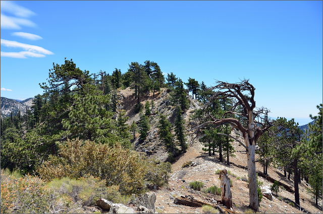 DSC_0680.JPG