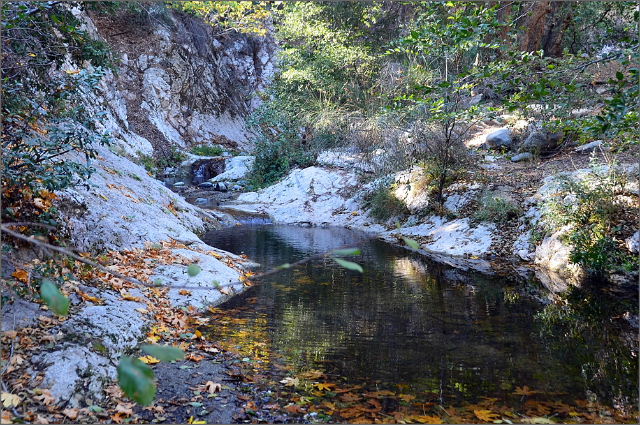 DSC_5526.JPG