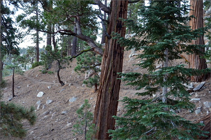 DSC_3518.JPG