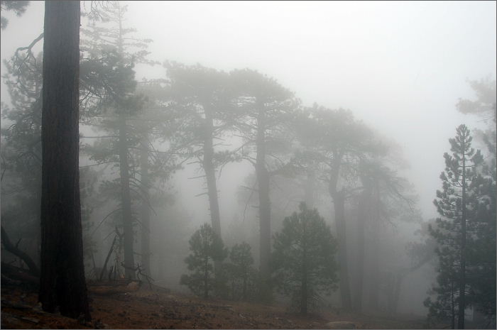 DSC_5333.JPG