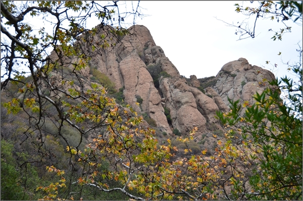 DSC_7832.JPG