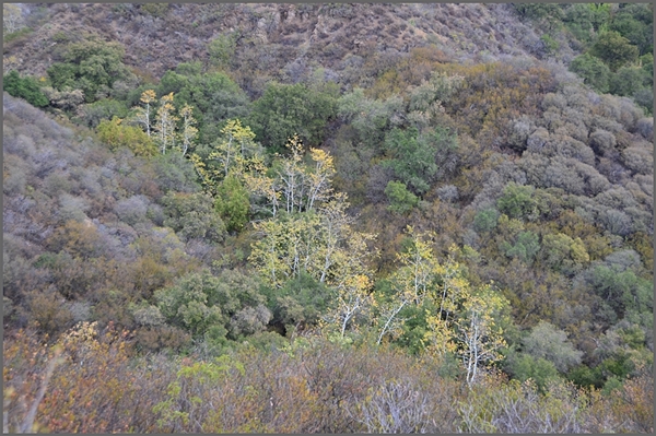 DSC_7757.JPG