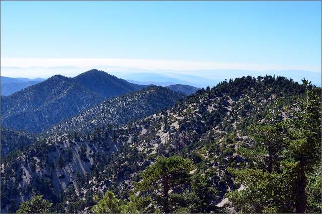 DSC_0775.JPG