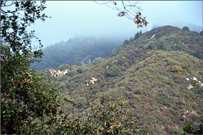 DSC_6737.jpg