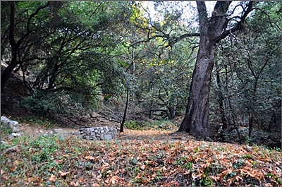 DSC_6819.jpg
