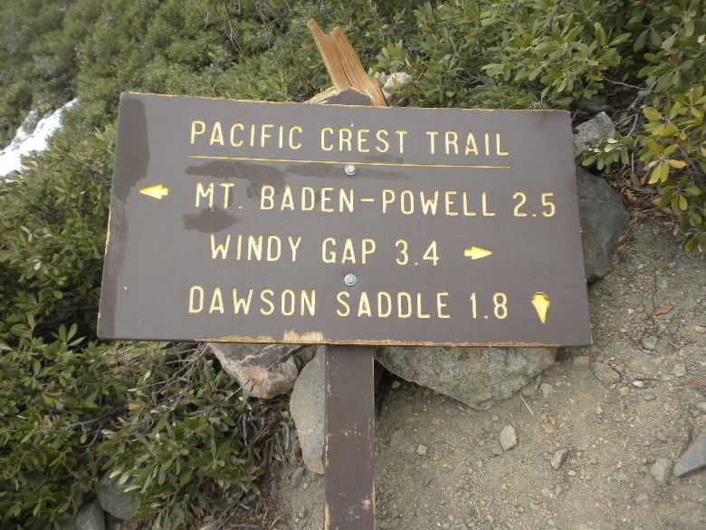 badenpowel6511%20025.jpg