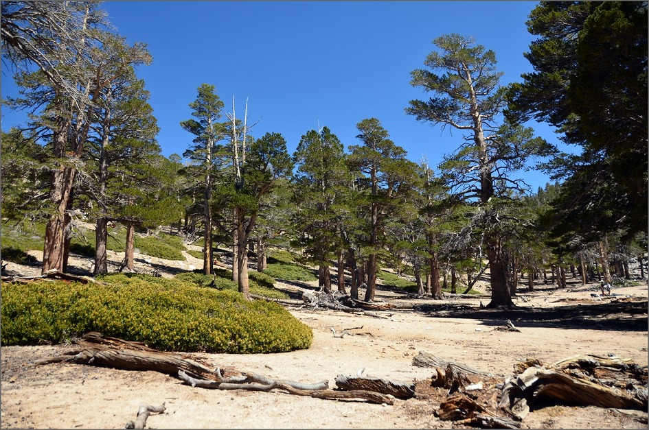 DSC_1589.jpg