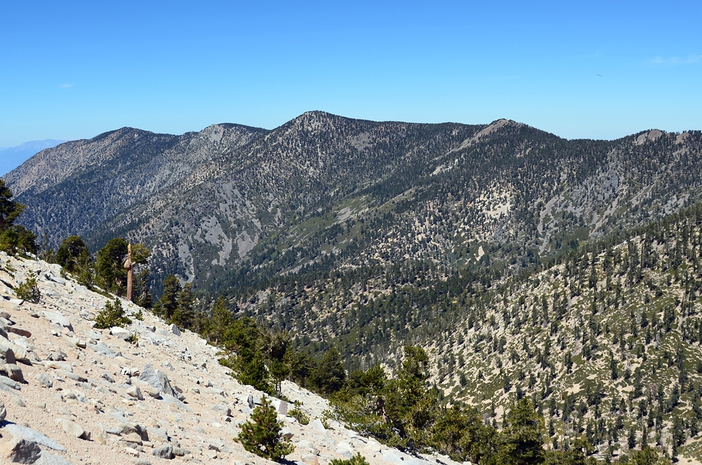 DSC_7834.JPG