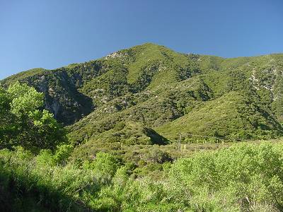 MountLukens1.Jpg