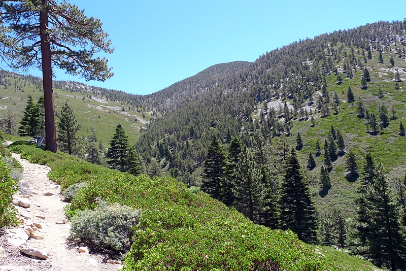 P1010315-X3.jpg
