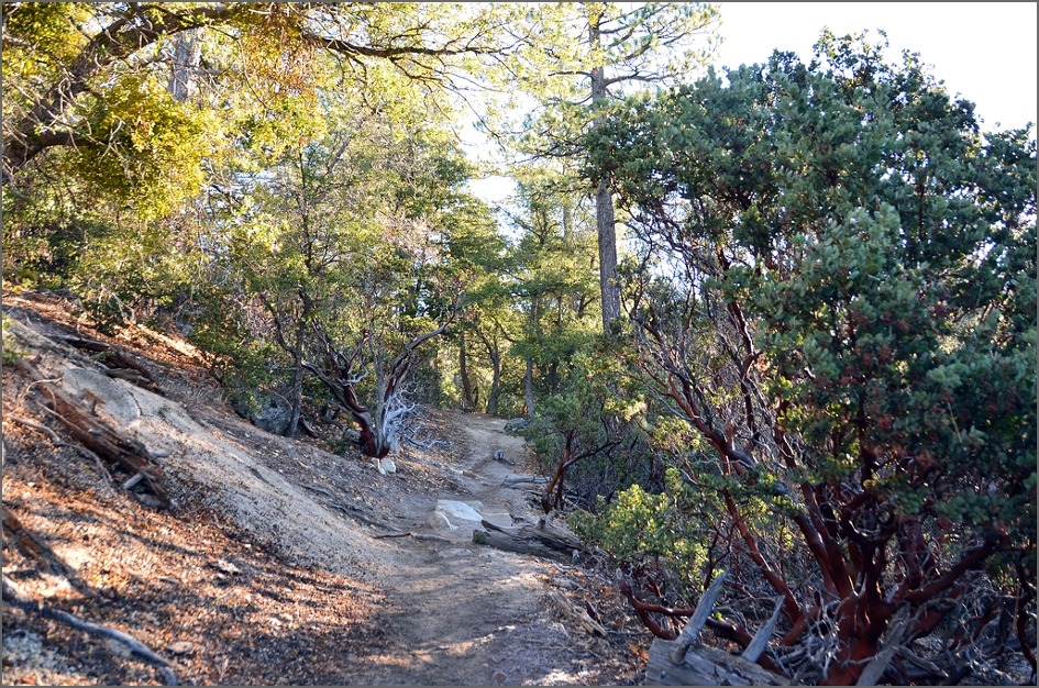 DSC_6162.jpg