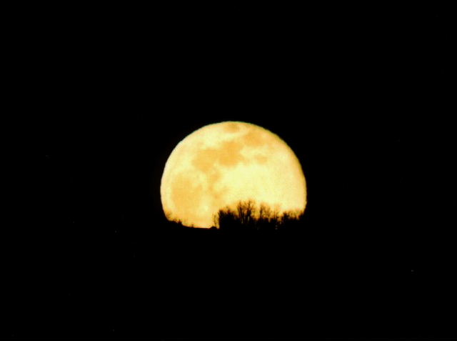 FullMoon5.jpg