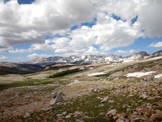295.JPG
