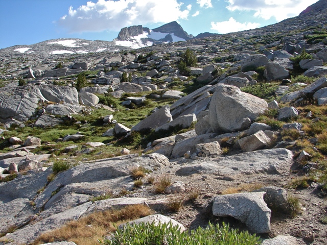 John-Muir.jpg