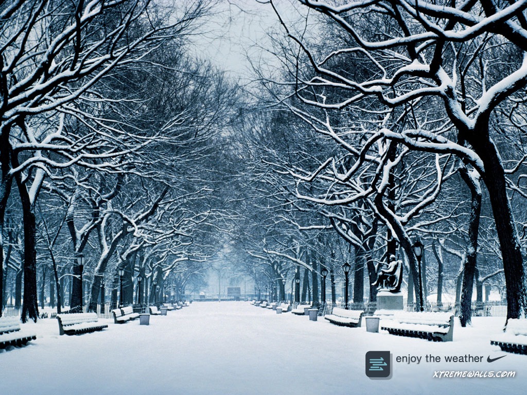 Winter-Season-forest.jpg