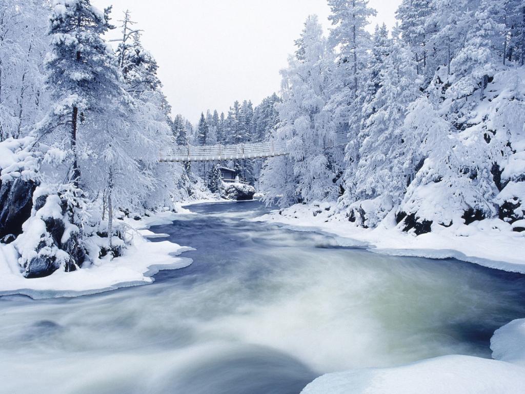 winter season (9).jpg
