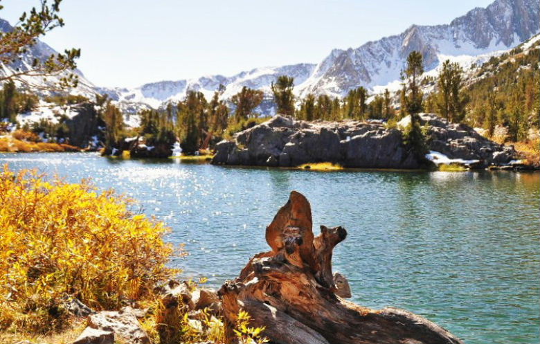 bishop102011 070.JPG