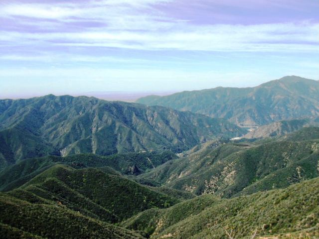 nattle41909_2520023.jpg