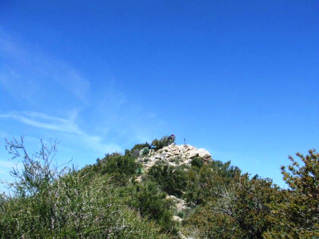 nattle41909_2520021.jpg