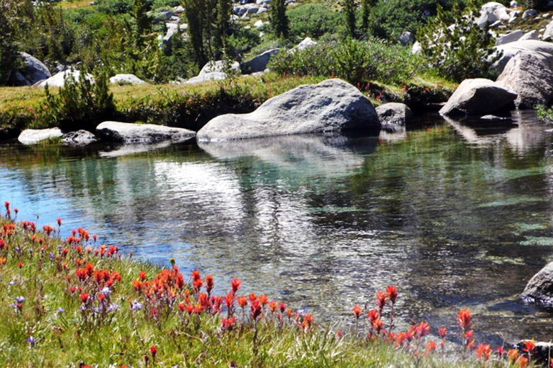 jmt4.jpg
