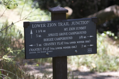 zion.jpg