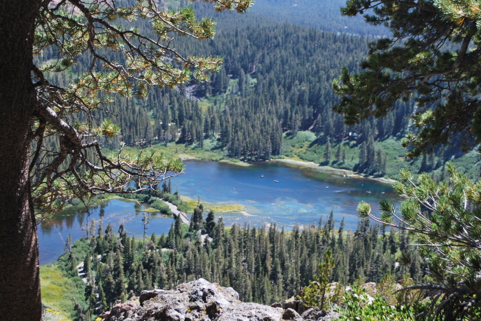 mammoth 115.jpg