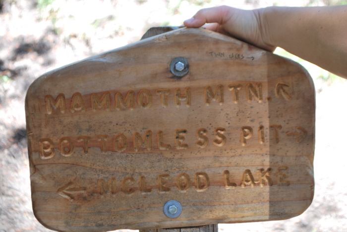 mammoth 113.jpg