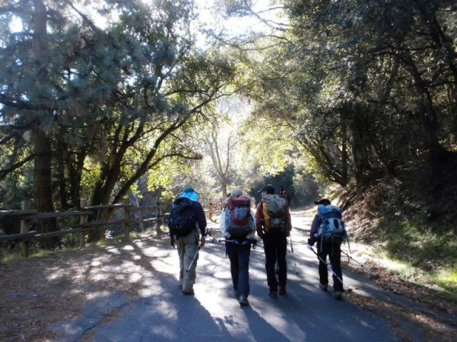 mt_Wilson1109%2520013.jpg