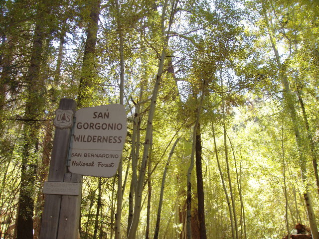 stelprdb5200805.jpg