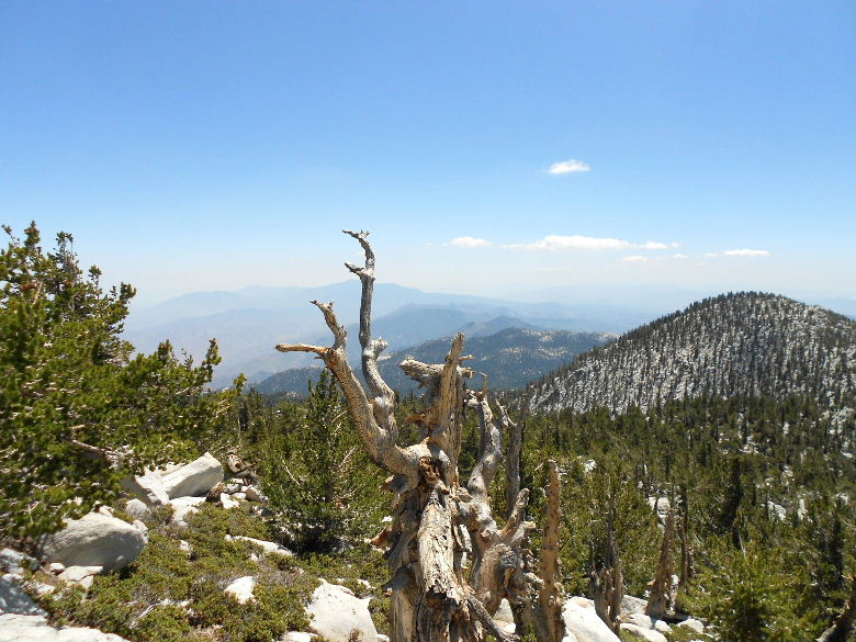 sanjacinto81411%20064.jpg
