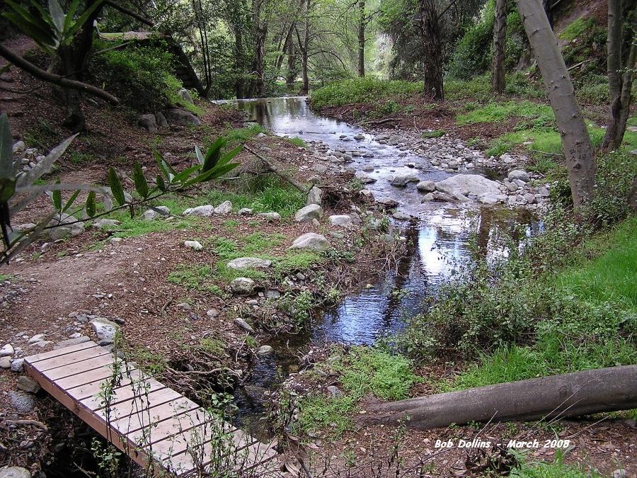 sawpit_cyn_bridge.jpg