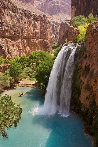 Havasu_Falls_1a_md.jpg