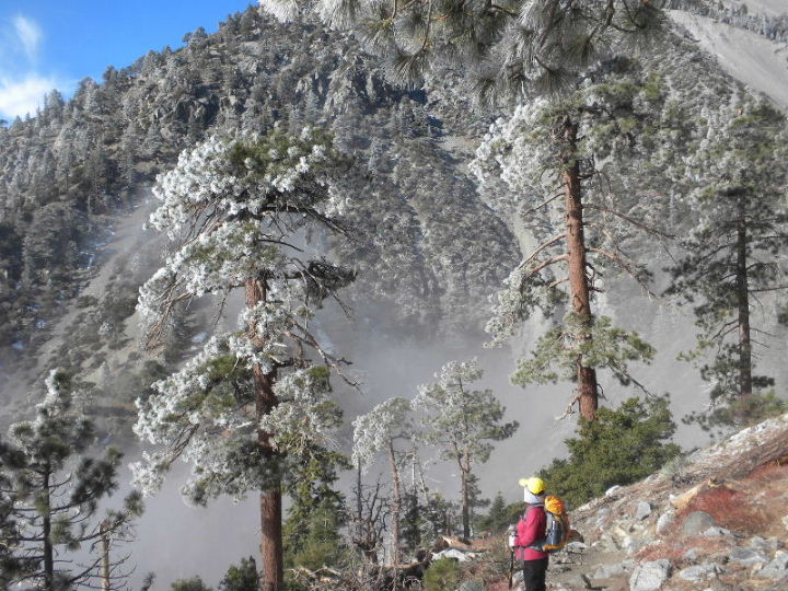 baldy120609_20039.jpg