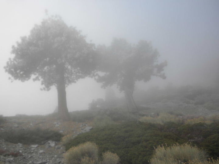 baldy120609_20068.jpg