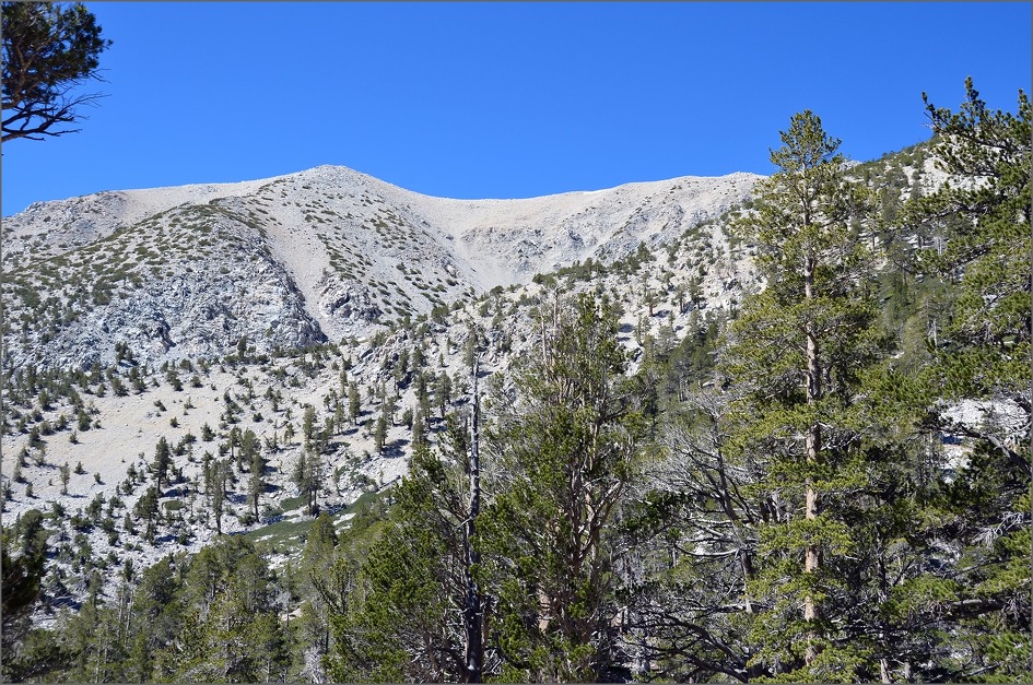 DSC_7336.jpg