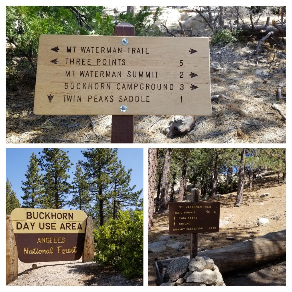 TwinPeakSignage.jpg